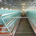 New chicken layer cage and poultry equipment supplier manufacturer